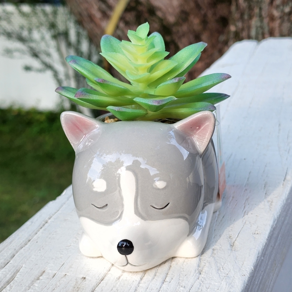 Flora Bunda Gray Puppy Ceramic Planter With Artificial Succulent Flower - Picture 8 of 10